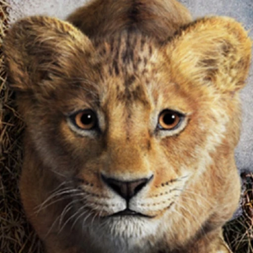 Mufasa, un gran rey merece una gran historia